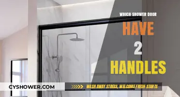 Dual-Handle Shower Doors: Enhancing Accessibility and Style in Your Bathroom