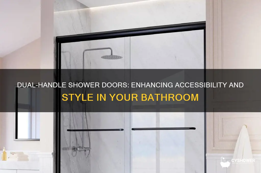 which shower door have 2 handles