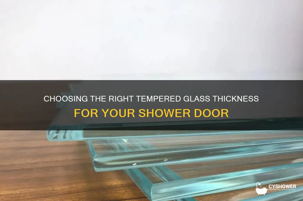 which shower glass door tempered thickness