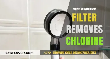 Best Shower Head Filters to Effectively Remove Chlorine for Healthier Skin