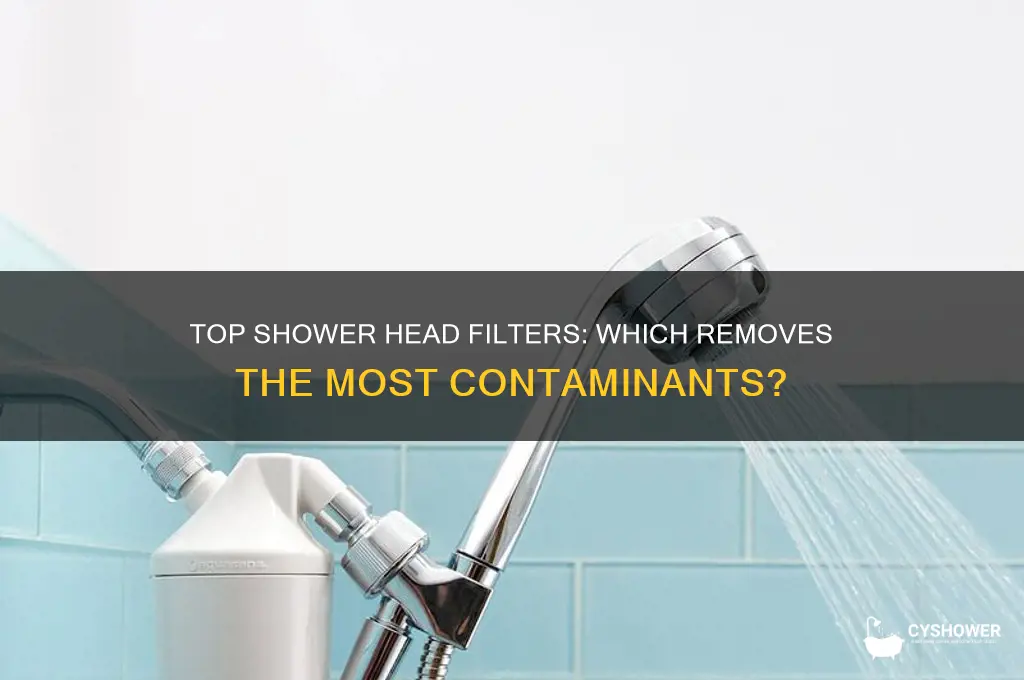 which shower head filter removes the most contaminants