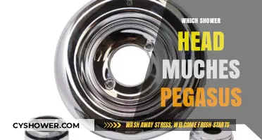 Finding the Perfect Shower Head to Match Your Pegasus Style