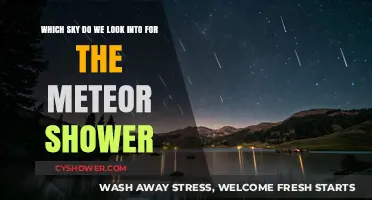 Stargazing Guide: Which Sky to Watch for Meteor Showers