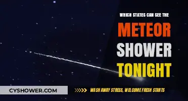 Meteor Shower Tonight: Which States Have the Best Viewing?