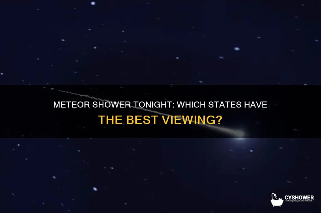 which states can see the meteor shower tonight