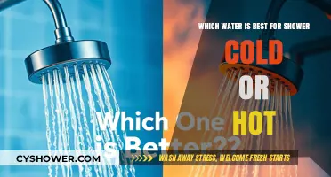 Cold vs. Hot Showers: Which Water Temperature is Best for You?