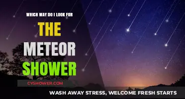 Best Viewing Directions for the Meteor Shower: A Stargazer's Guide
