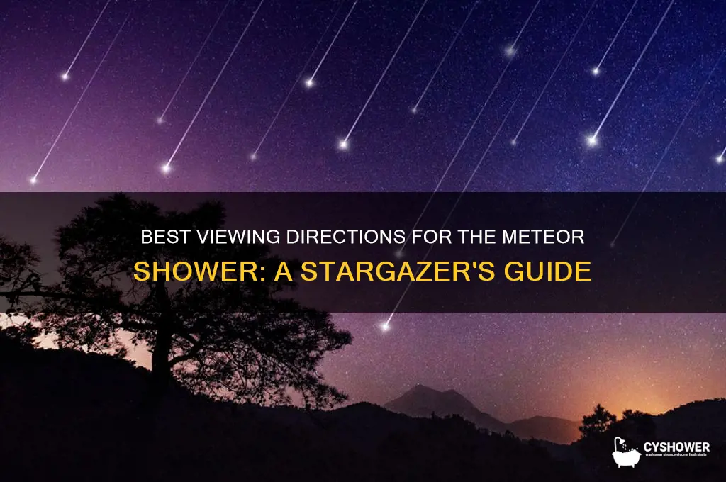 which way do i look for the meteor shower
