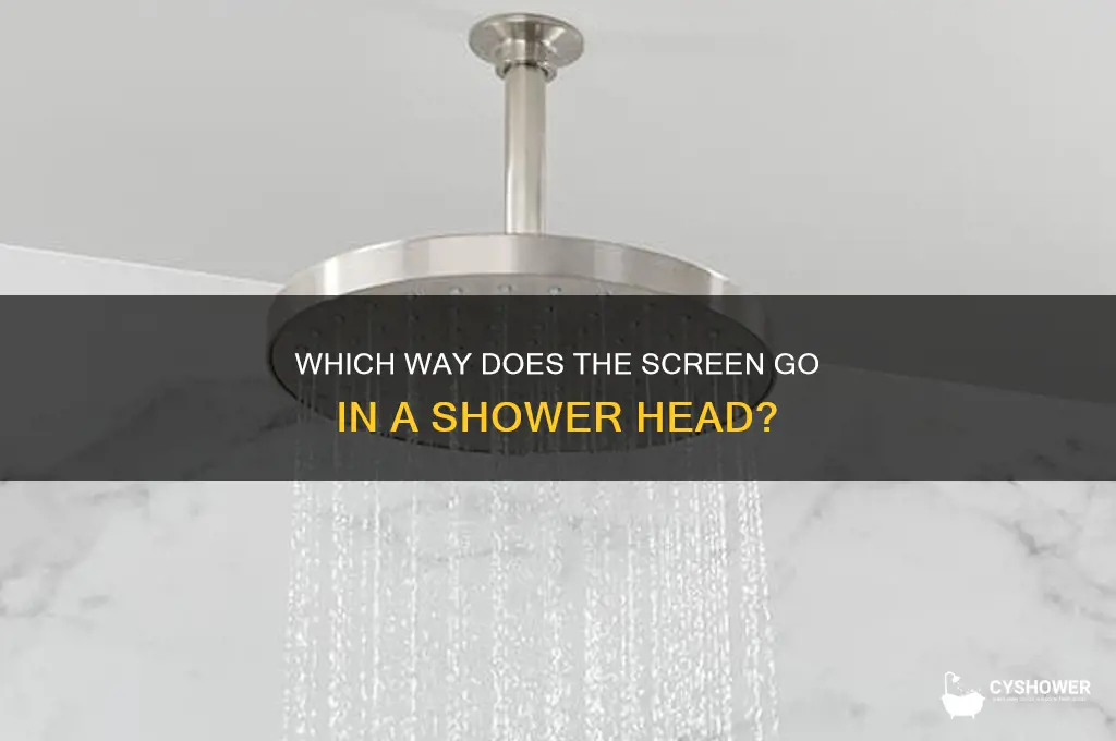 which way does screen go in shower head