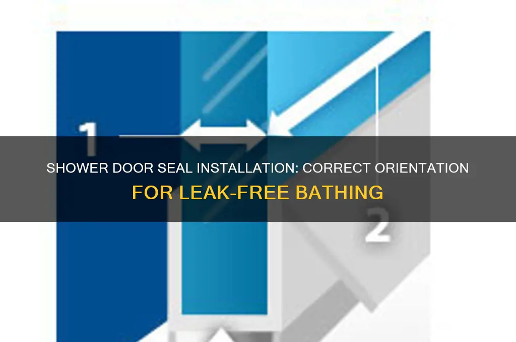 which way round does a shower door seal go