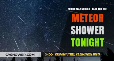Best Viewing Direction for Tonight's Meteor Shower: Tips and Tricks