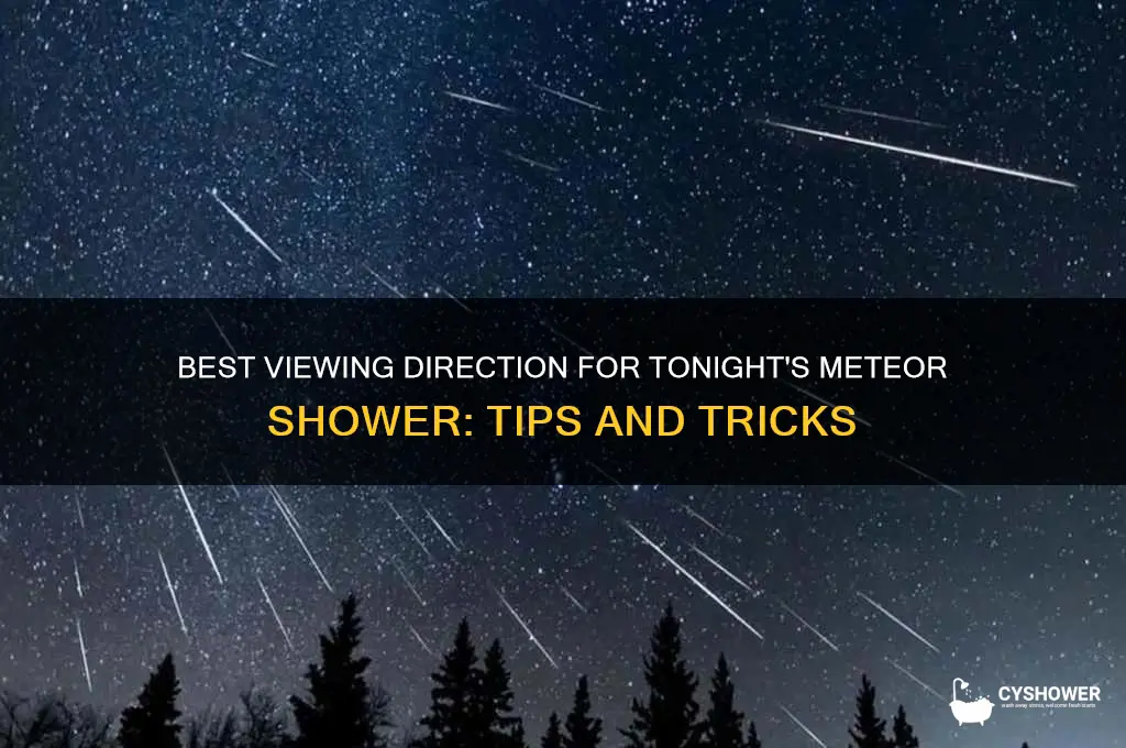 which way should i face for the meteor shower tonight