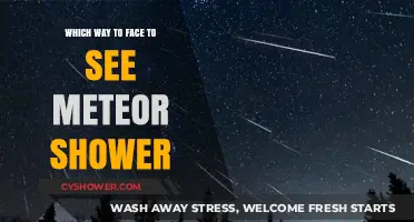 Best Direction to Face for Stunning Meteor Shower Viewing Tips