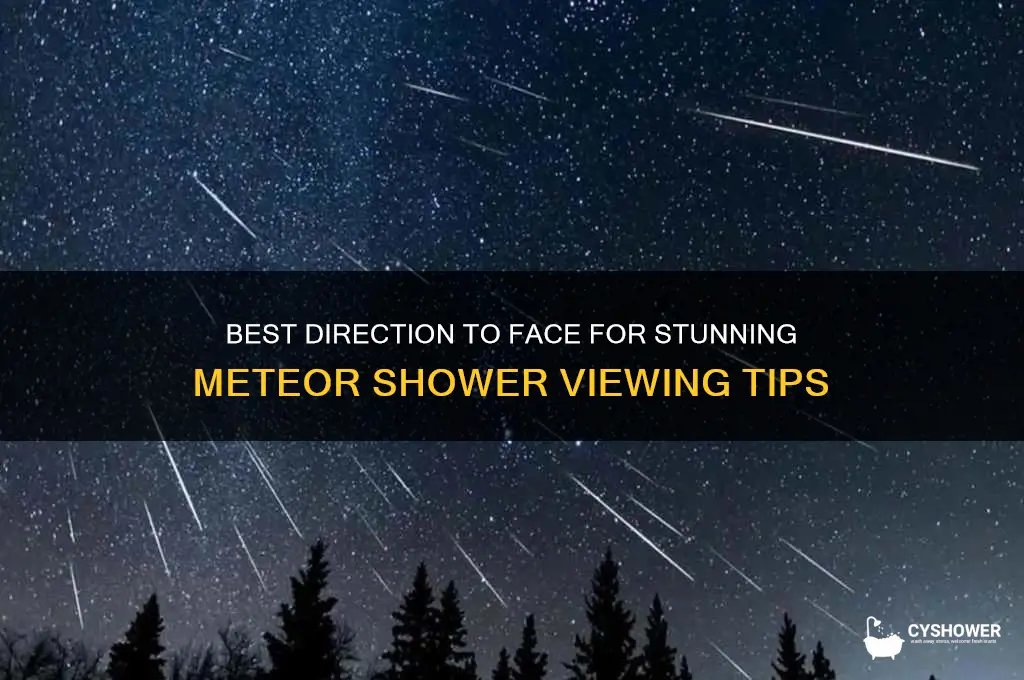 which way to face to see meteor shower