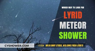 Best Viewing Tips: Where to Look for the Lyrid Meteor Shower