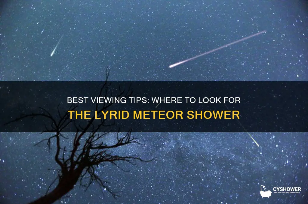 which way to look for lyrid meteor shower