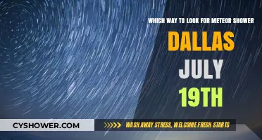 Dallas Meteor Shower Guide: Best Viewing Direction July 19th