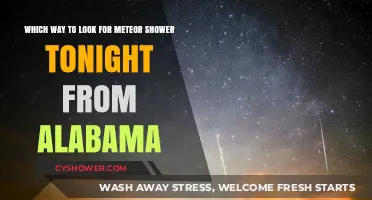 Alabama's Meteor Shower Viewing Guide: Best Direction Tonight
