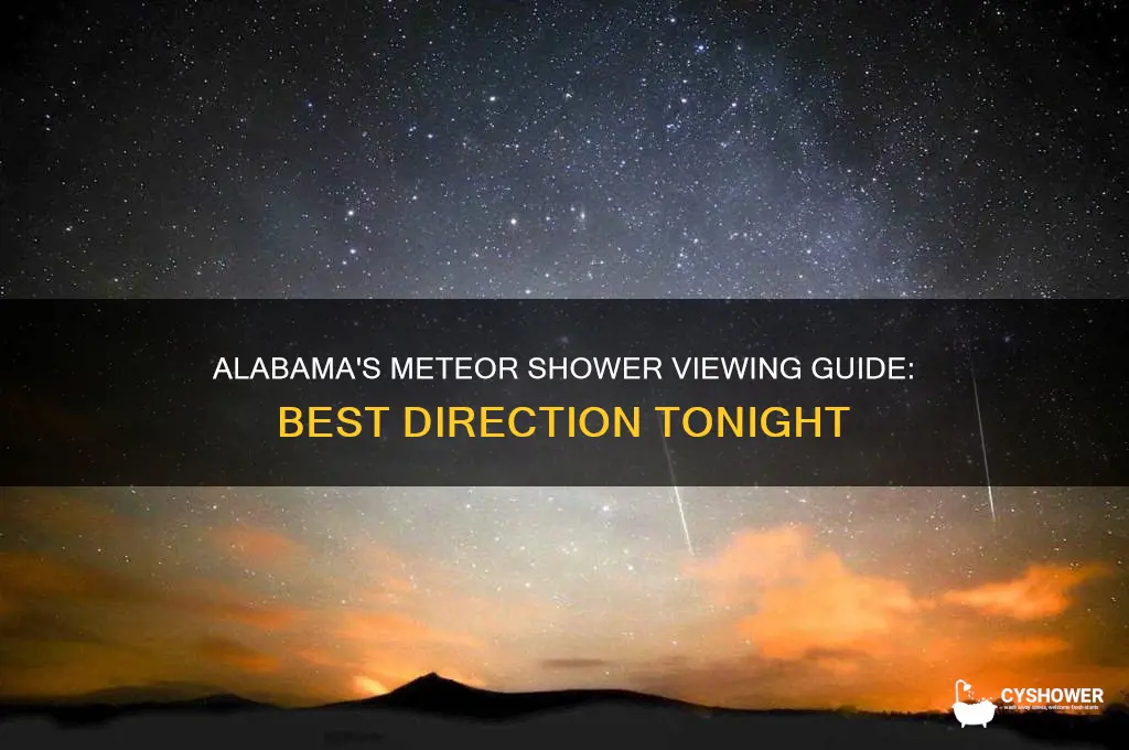which way to look for meteor shower tonight from alabama