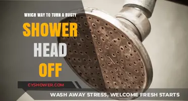 Rusty Shower Head? Here's How to Turn It Off Safely