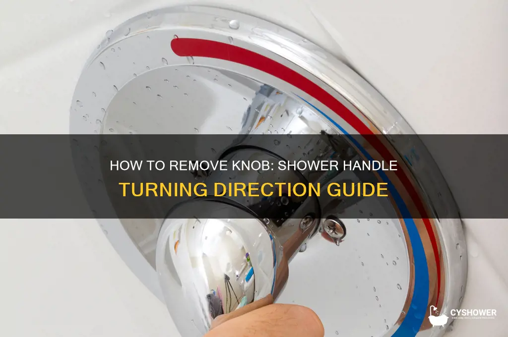 which way to turn shower handle to remove nkob