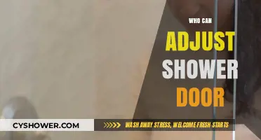 DIY or Pro: Who Should Adjust Your Shower Door?