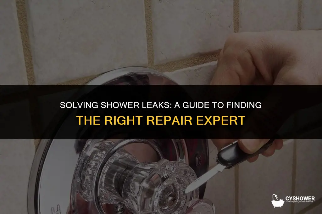 who can fix a leaking shower