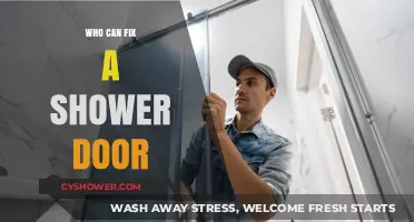 DIY or Pro: Who Can Fix a Shower Door?