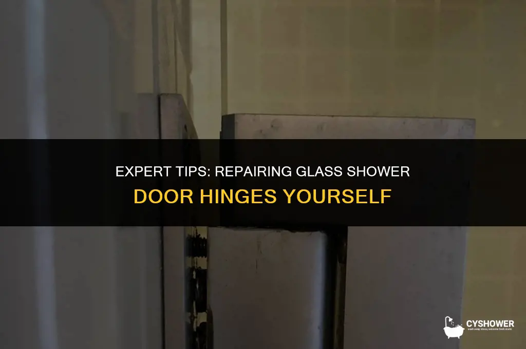 who can fix glass shower door hinge