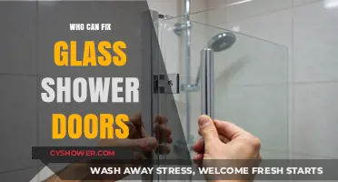 Expert Solutions for Glass Shower Door Repairs and Replacements