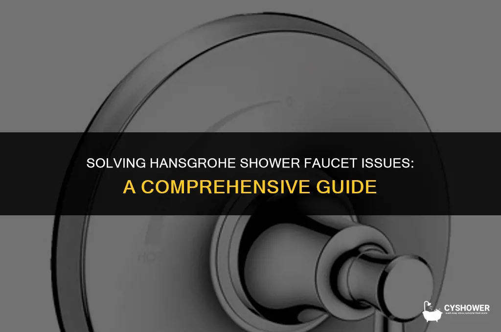 who can fix hansgrohe shower faucet