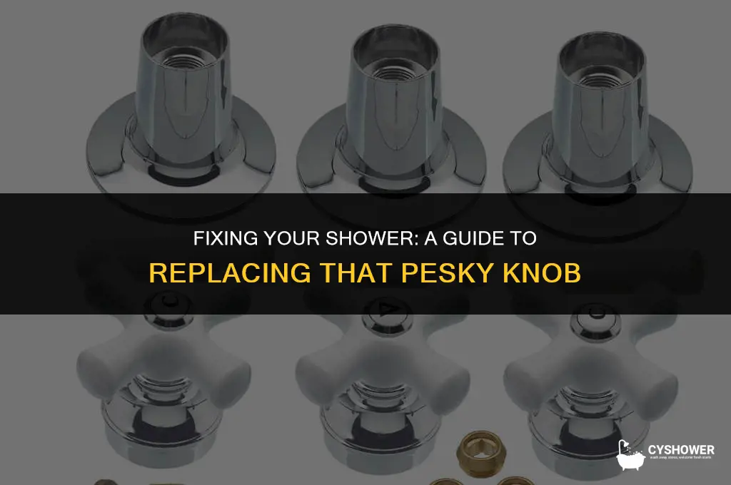who can i call to replace a shower knob