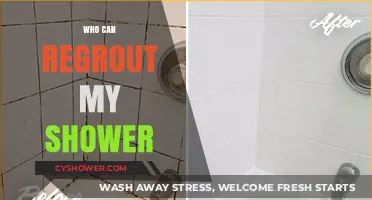 Revamp Your Shower: Finding the Perfect Pro for Regrouting