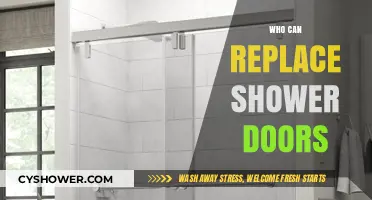 Revamping Your Bathroom: Who Can Replace Shower Doors?
