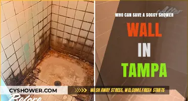 Reviving Soggy Shower Walls in Tampa: A Comprehensive Guide