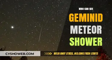 Geminid Meteor Shower Visibility: Who Can Witness the Celestial Spectacle?