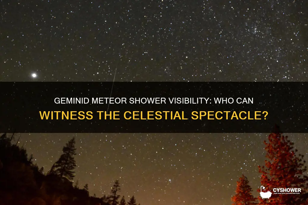 who can see geminid meteor shower