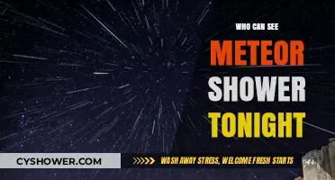 Tonight's Meteor Shower: Who Can Witness the Celestial Spectacle?