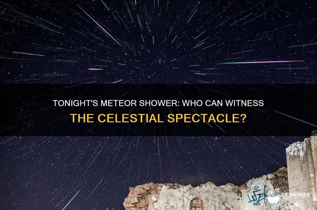 who can see meteor shower tonight