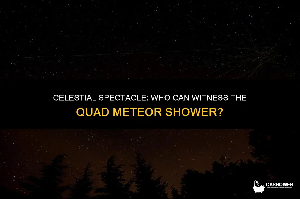 who can see quad metor shower