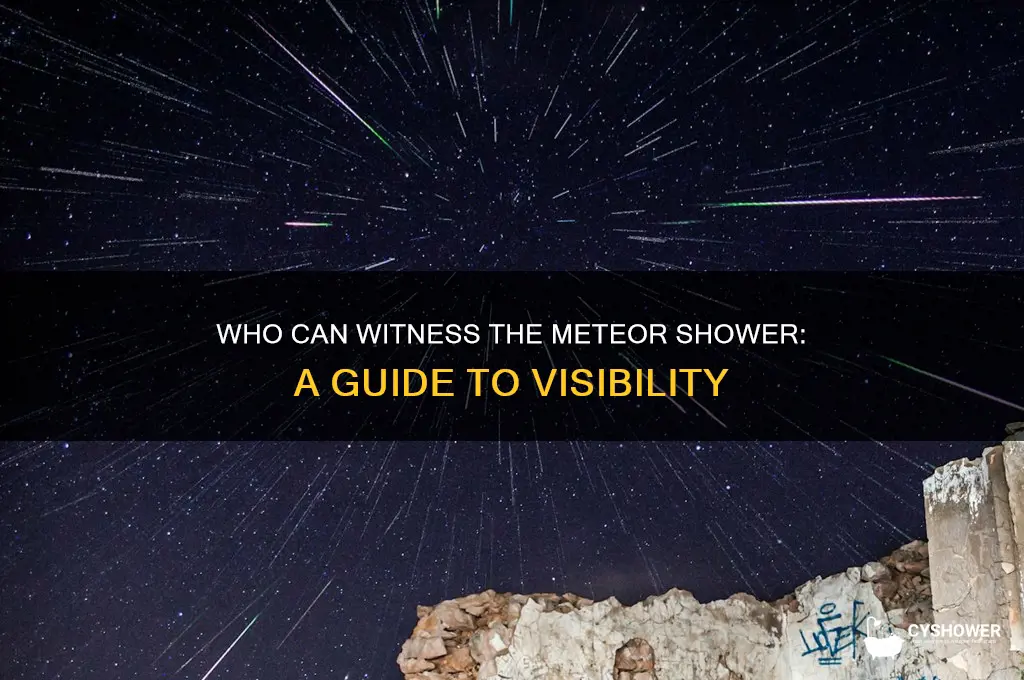 who can see the meteor shower