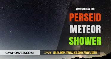 Where and Who Can Witness the Perseid Meteor Shower?