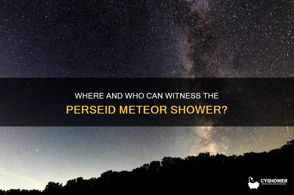 who can see the perseid meteor shower