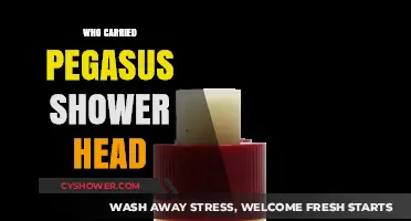 Who Carried the Pegasus Shower Head: Unveiling the Retailers
