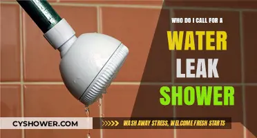 Shower Water Leak? Here’s Who to Call for Quick Repairs