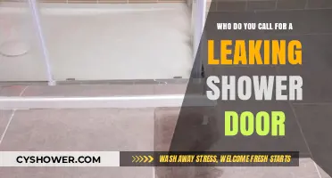 Leaking Shower Door? Who to Call for Quick Repairs