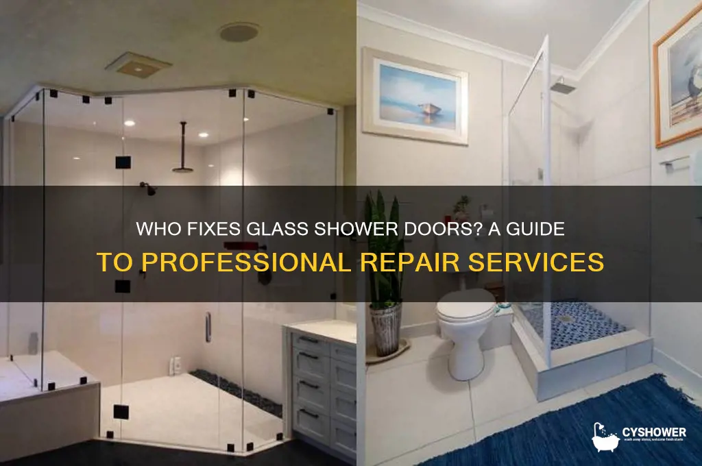 who fix a glass shower door