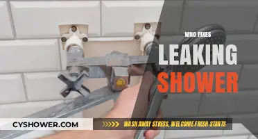 Who Fixes Leaking Showers? A Guide to Hiring the Right Expert