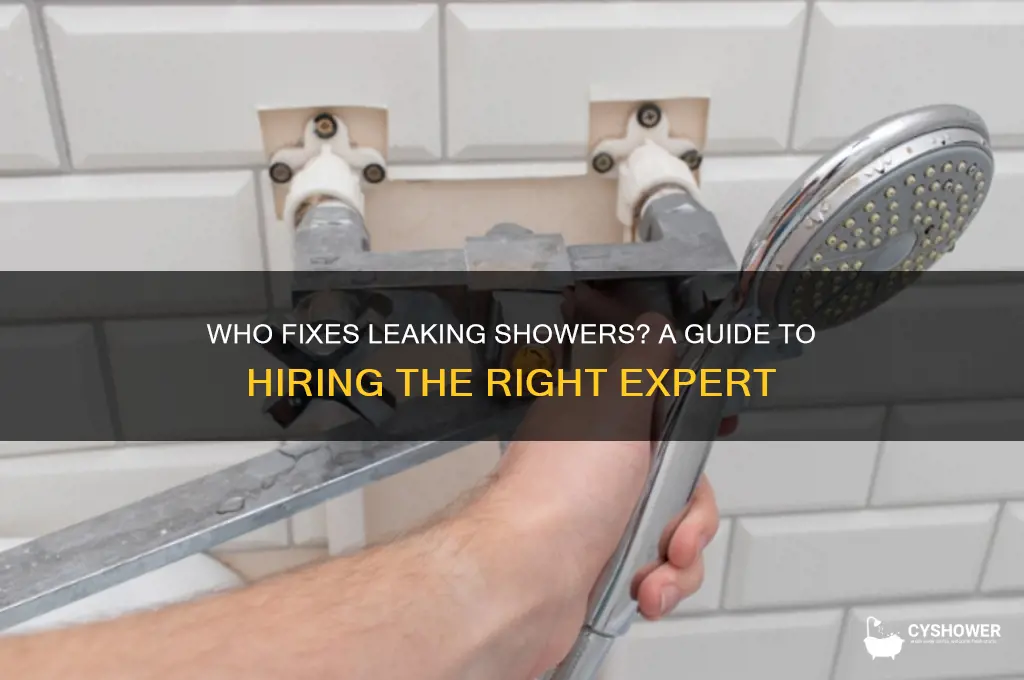 who fixes leaking shower