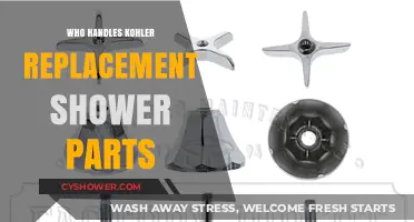 Kohler Replacement Shower Parts: Who Handles Repairs and Replacements?